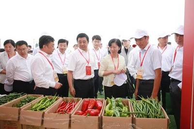 “一县一业(特)”全产业链示范成果扮亮2020年中国农民丰收节安徽主会场